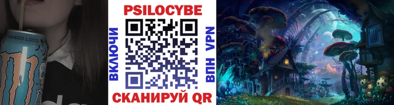Галлюциногенные грибы Psilocybe  купить   блэк спрут вход  Бронницы 